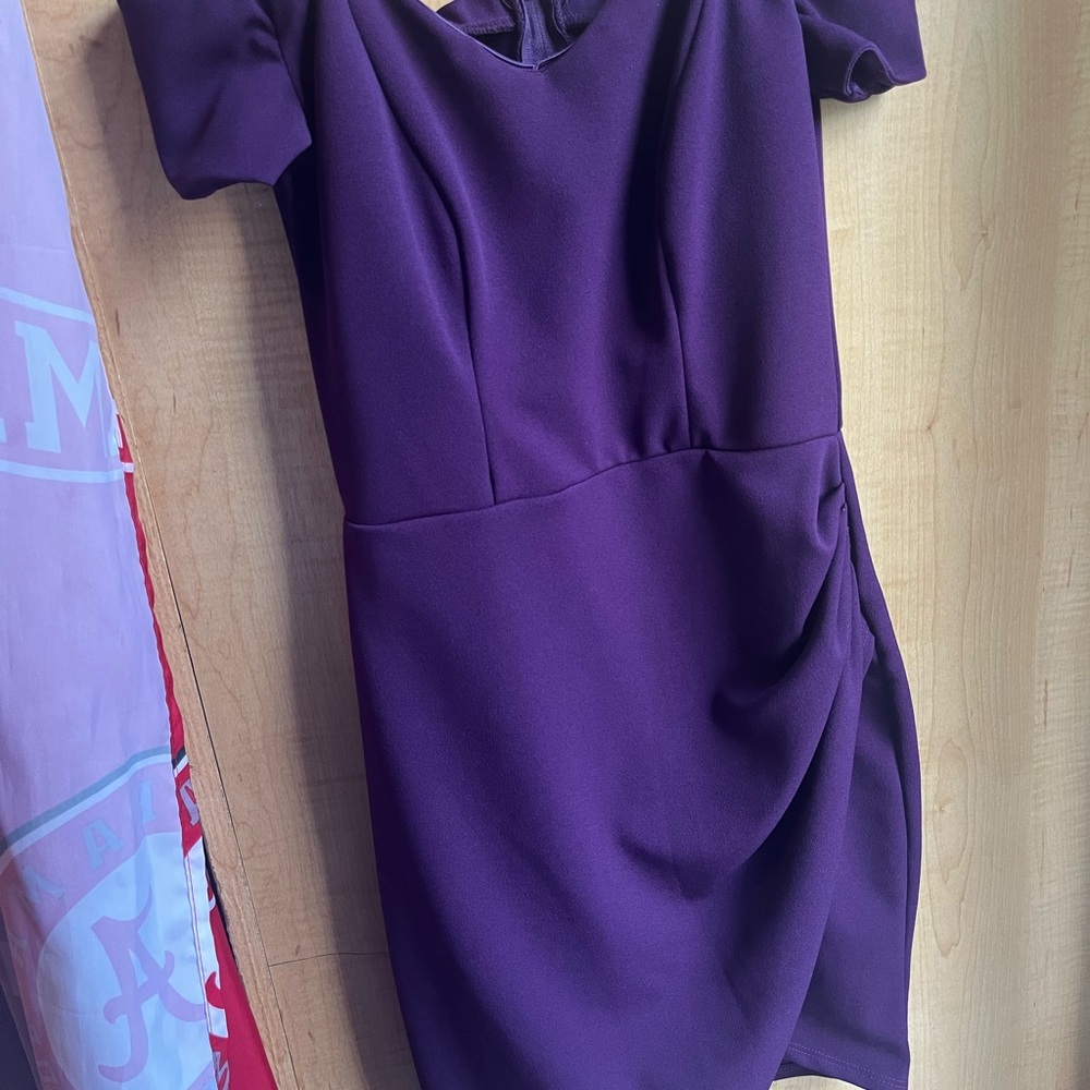 Elegant Purple Women's Dress